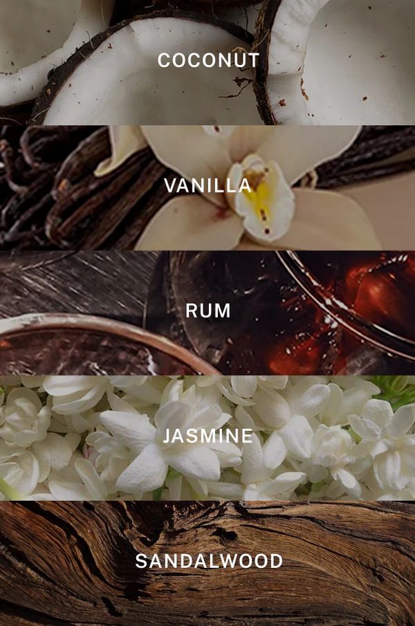 aroma parfum untuk target pasar bisnis parfum dengan karakter premium